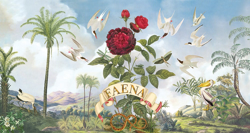 Juan Gotti illustration with flowers and the name Faena