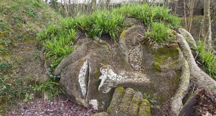 The Invention Of The Irish Garden Faena